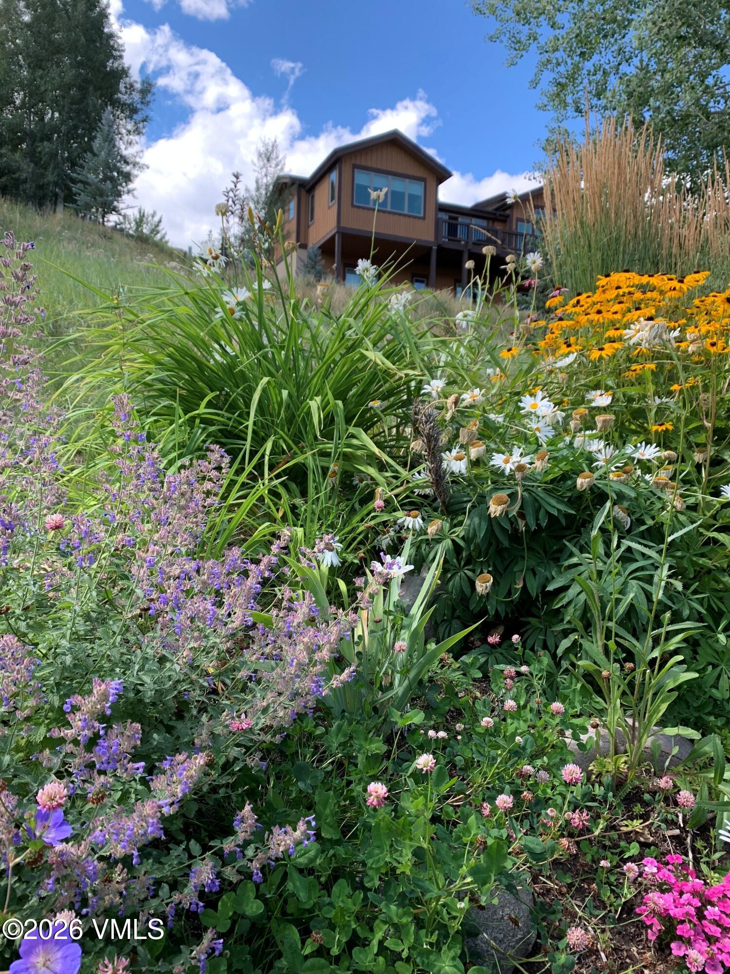 150 Hummingbird Trail Edwards, CO 81632 - Photo 23 of 27 Exterior Back Wild Flowers -- 1.27.26