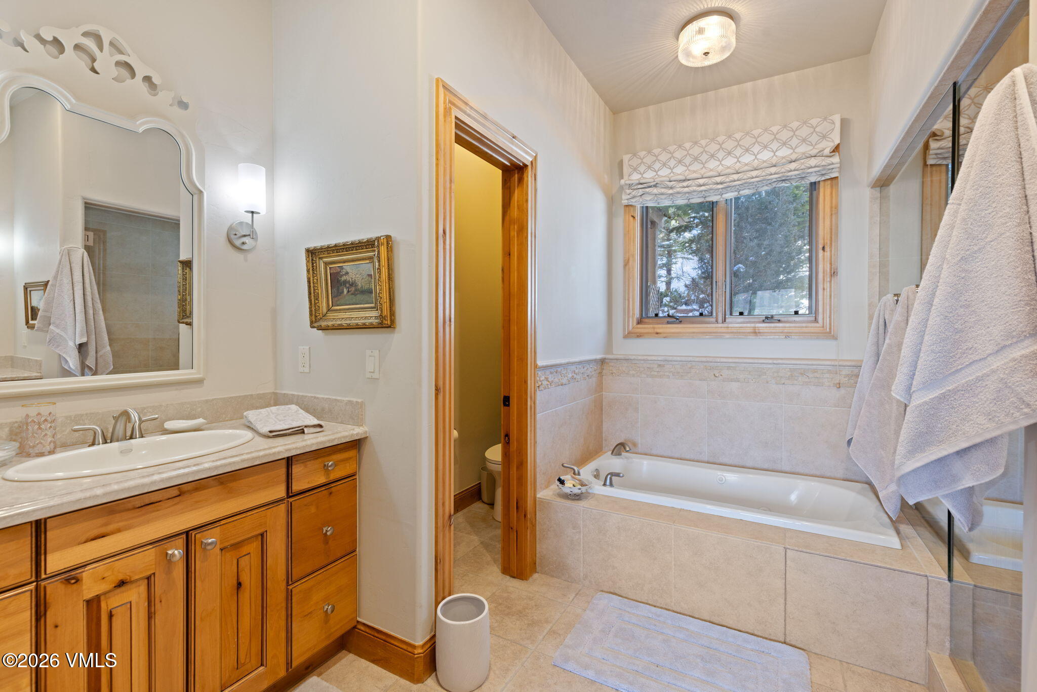 150 Hummingbird Trail Edwards, CO 81632 - Photo 9 of 24 28-web-or-mls-IMG_0144