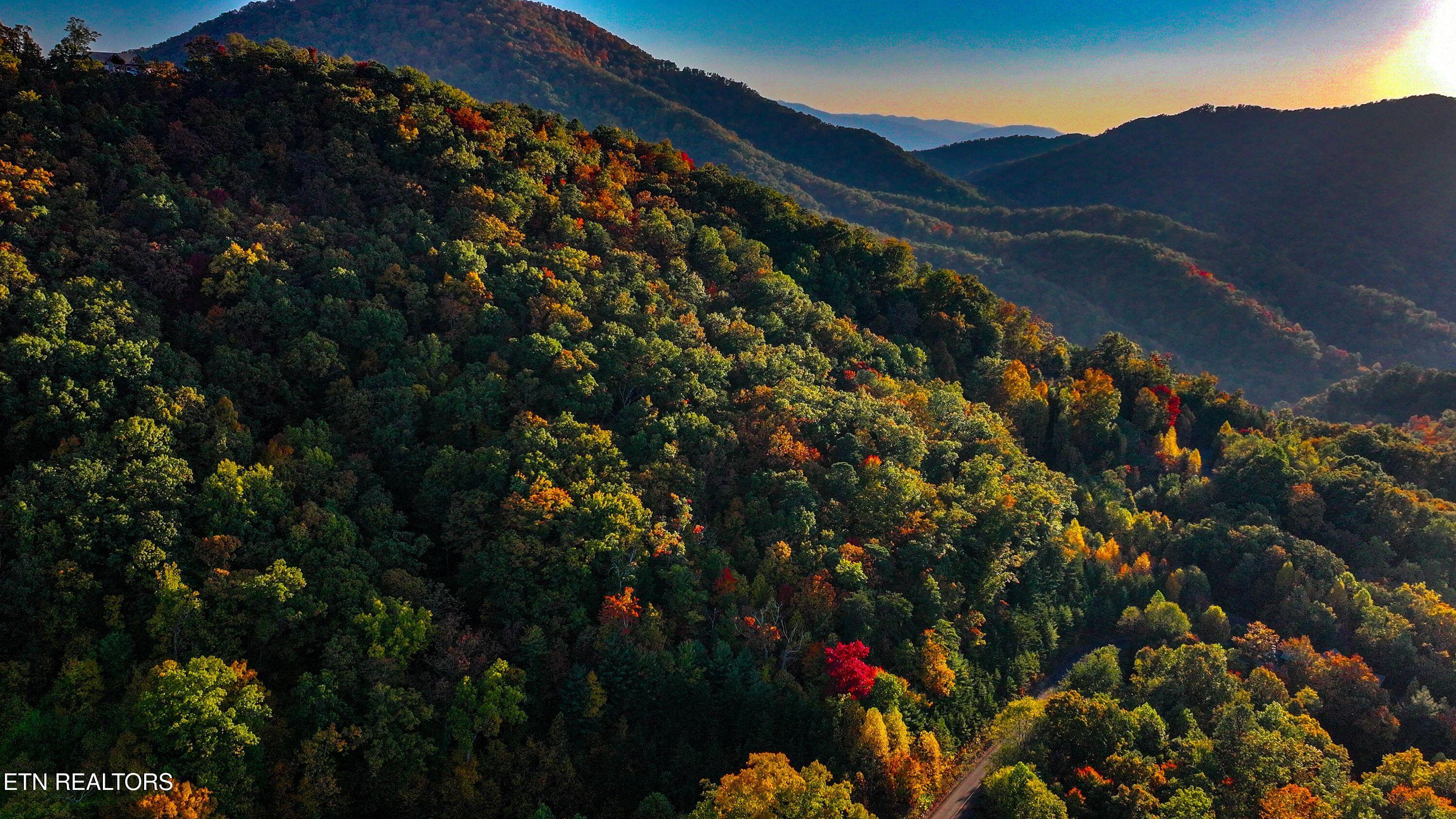 Lot 134 Long Rifle Road Sevierville, TN 37862 - Photo 1 of 23 DJI_20241025161452_0032_D
