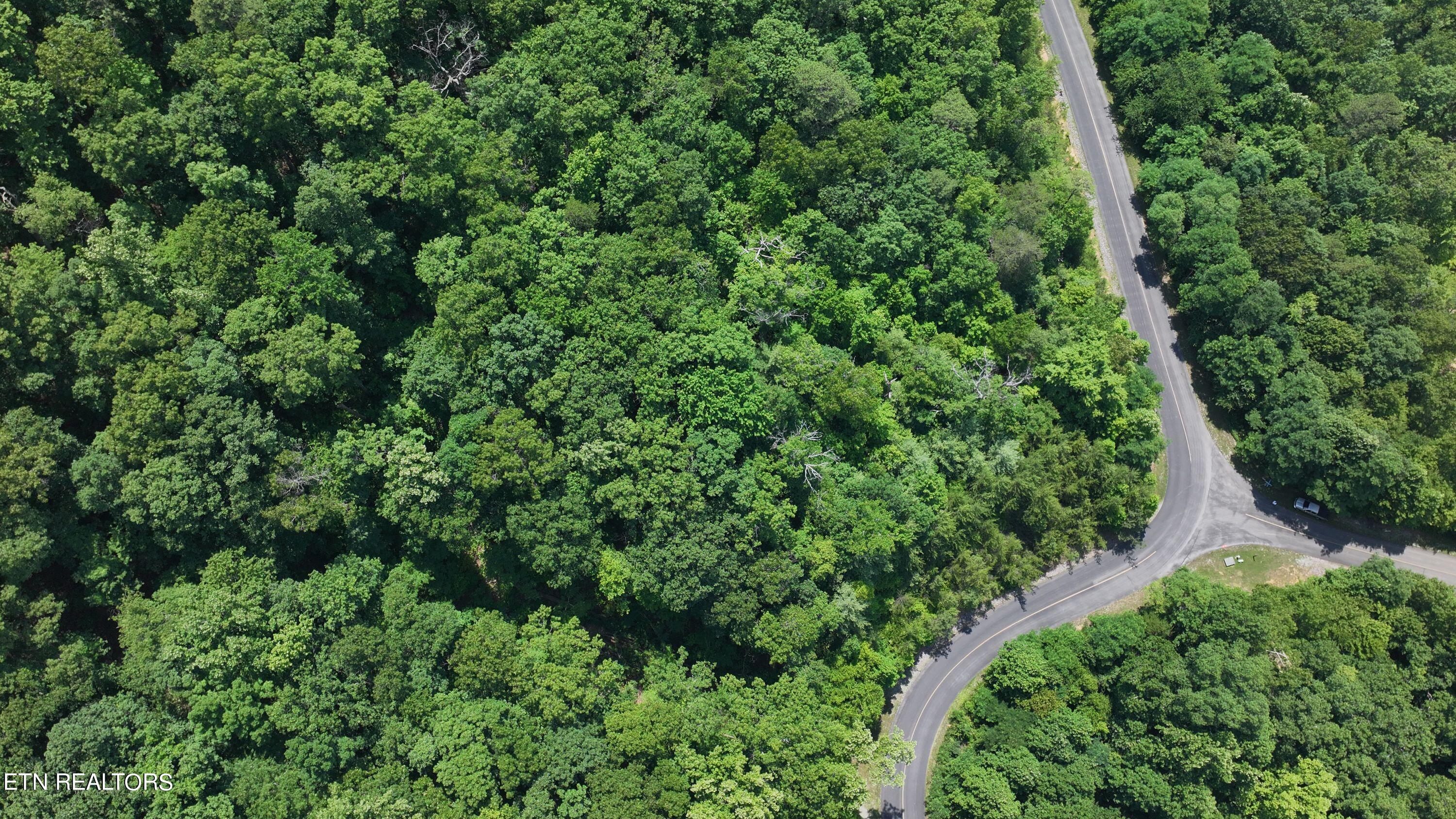 Lot 134 Long Rifle Road Sevierville, TN 37862 - Photo 9 of 23 DJI_20240614130421_0740_D