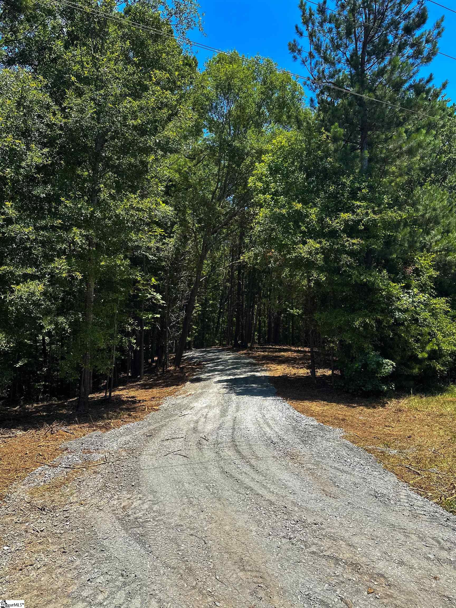 40 Joe Oulla Road Ware Shoals, SC 29692 - Photo 6 of 9 Gallery Image 6