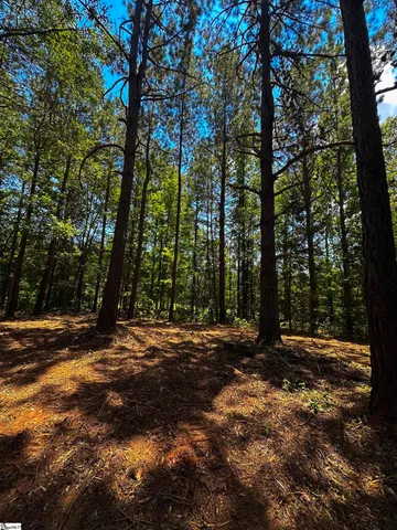 $99,000 | 40 Joe Oulla Road, Ware Shoals, SC 29692