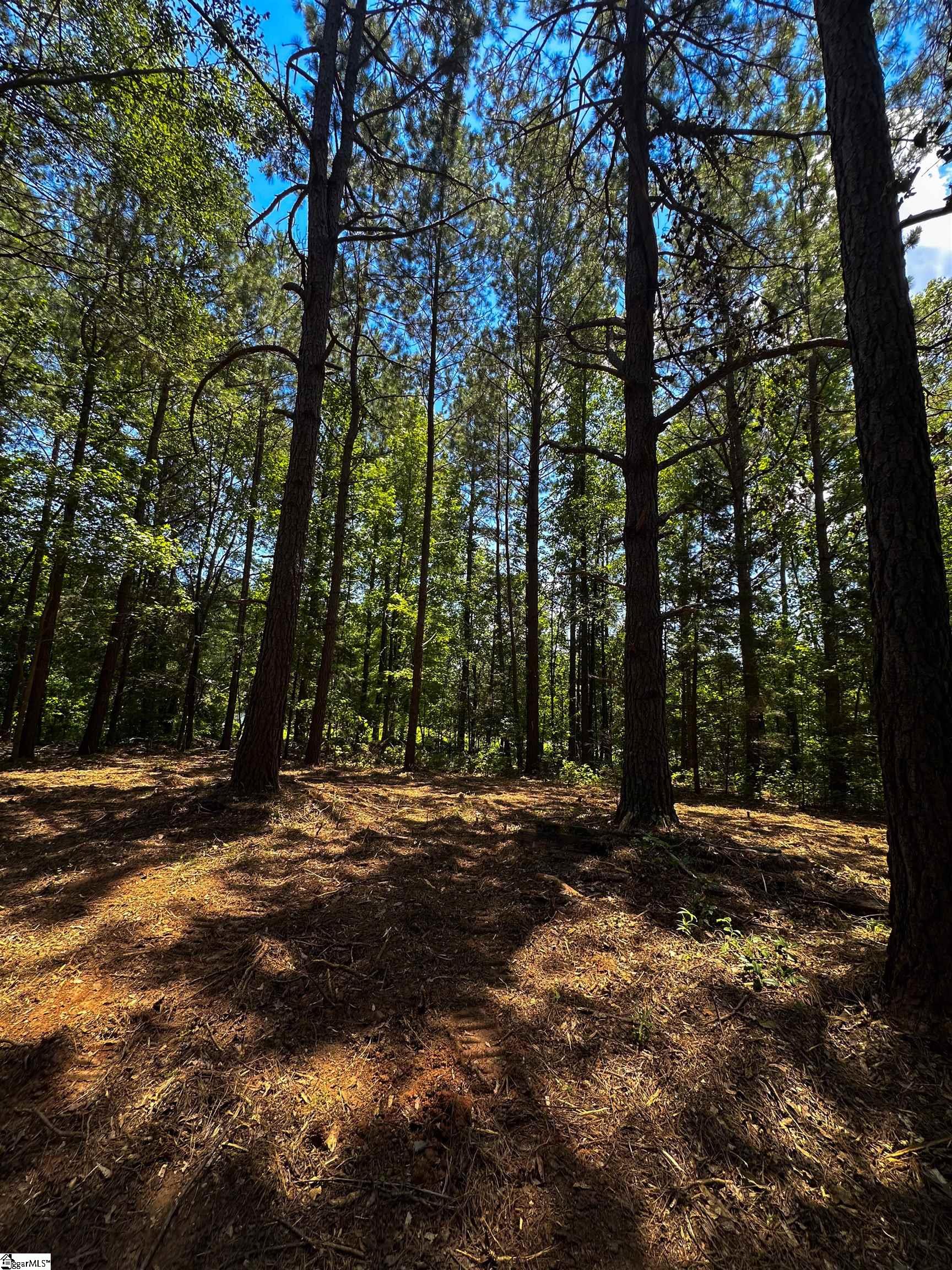 40 Joe Oulla Road Ware Shoals, SC 29692 - Photo 7 of 9 Gallery Image 7