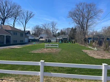 a view of a yard and large tree