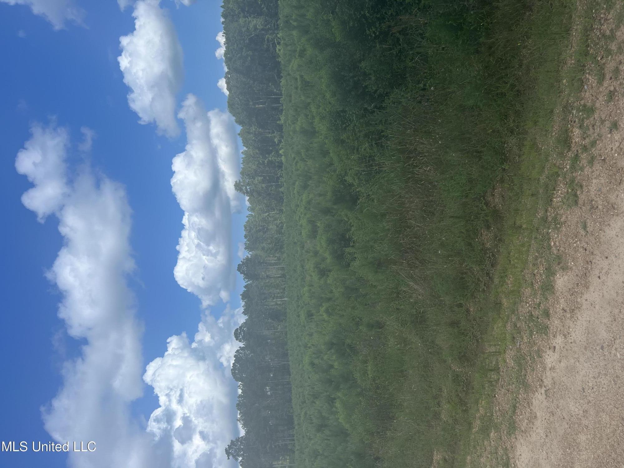 Turnage Road Pelahatchie, MS 39145 - Photo 4 of 4 Landscape