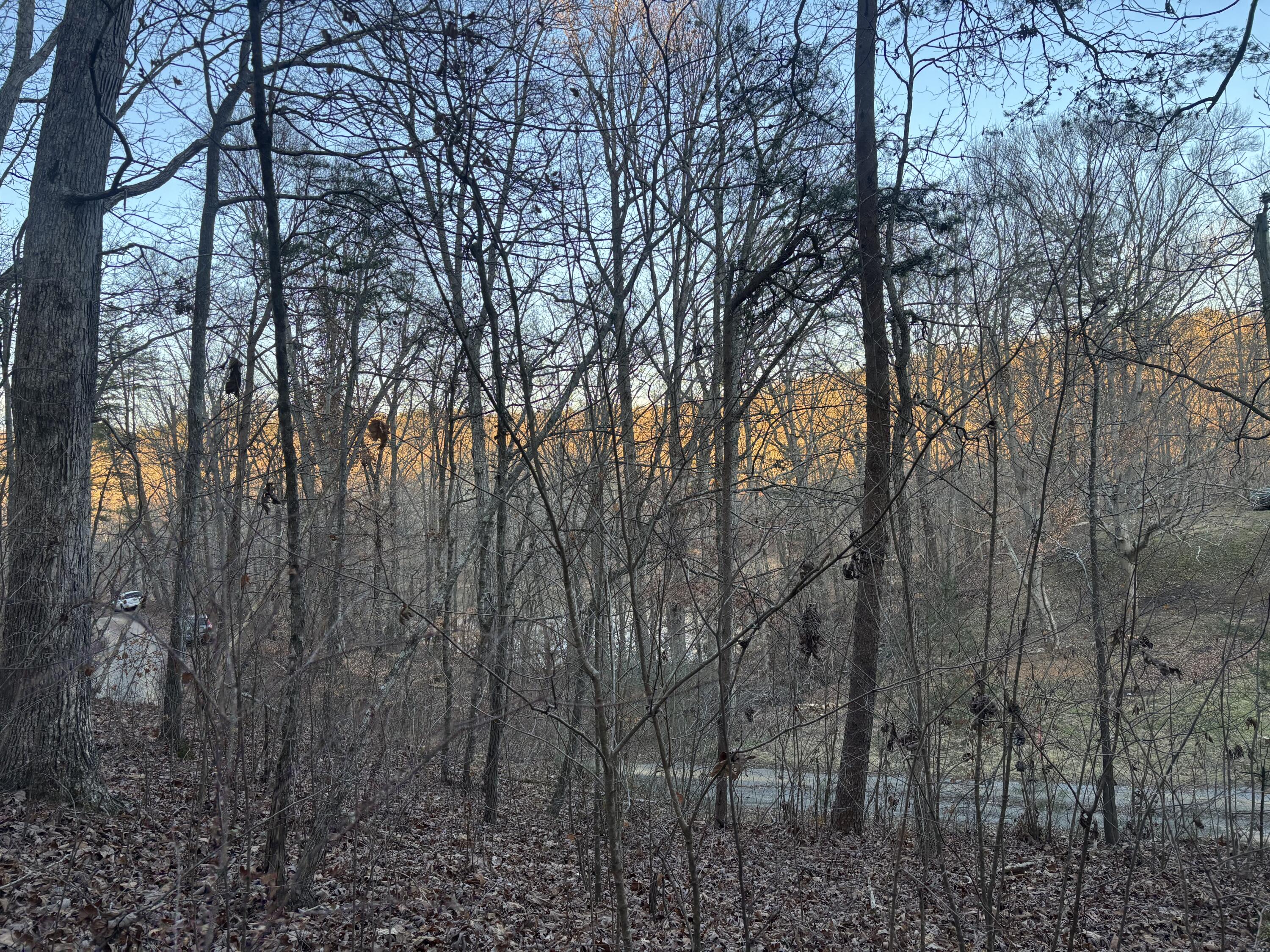 0 Twin Lakes Road LaFayette, GA 30728 - Photo 11 of 14 IMG_7706