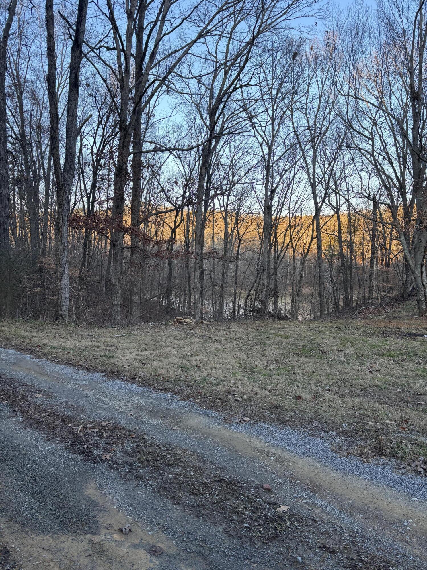 0 Twin Lakes Road LaFayette, GA 30728 - Photo 12 of 14 IMG_1104