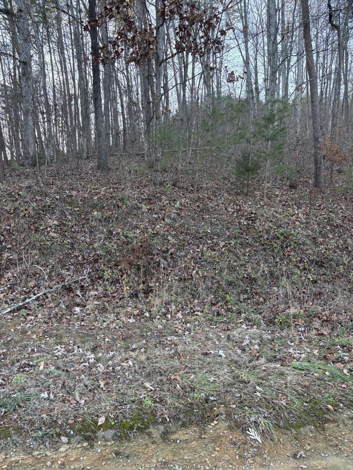 0 Twin Lakes Road LaFayette, GA 30728 - Photo 13 of 14 IMG_1103