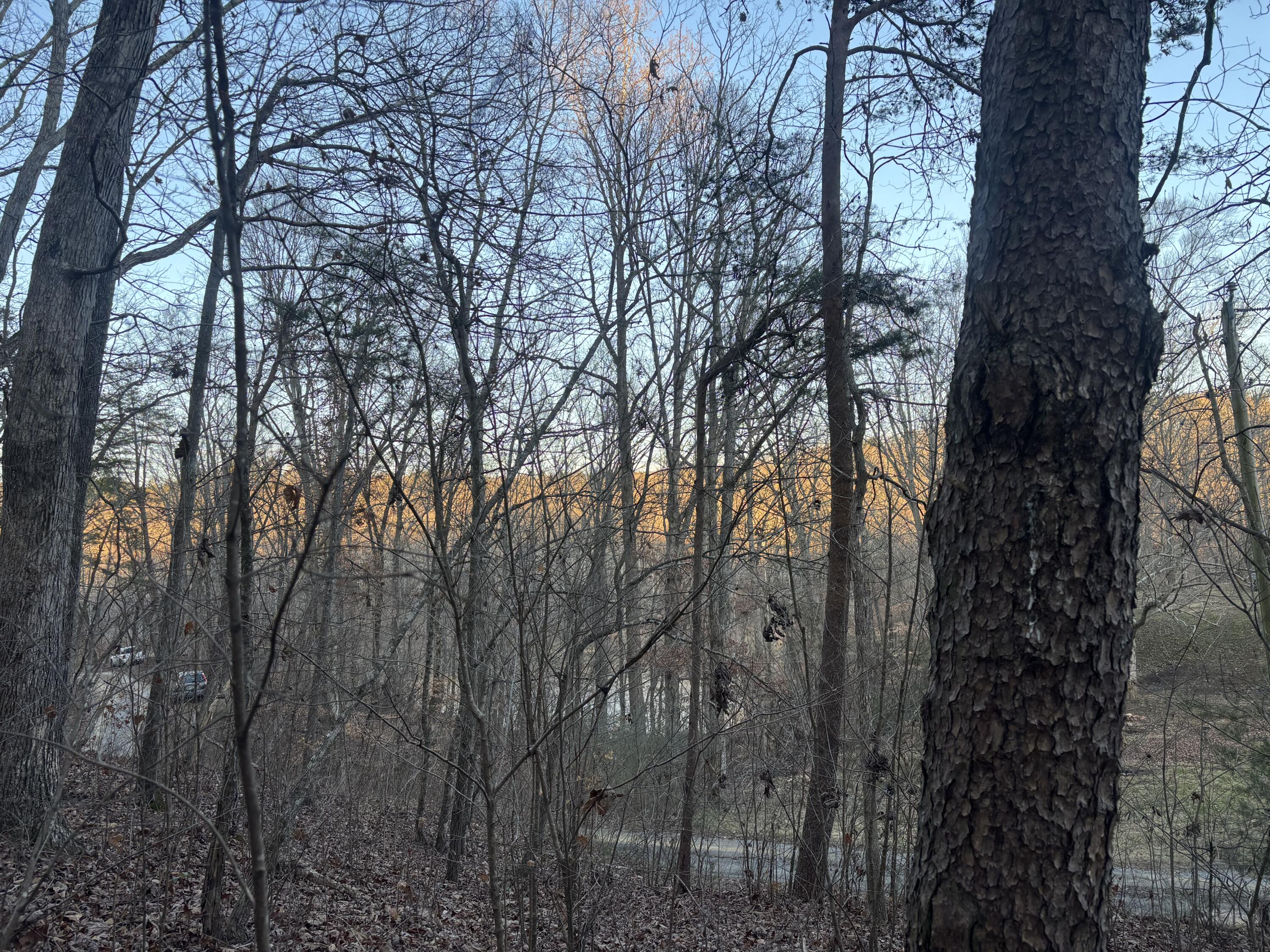 0 Twin Lakes Road LaFayette, GA 30728 - Photo 3 of 14 IMG_7705