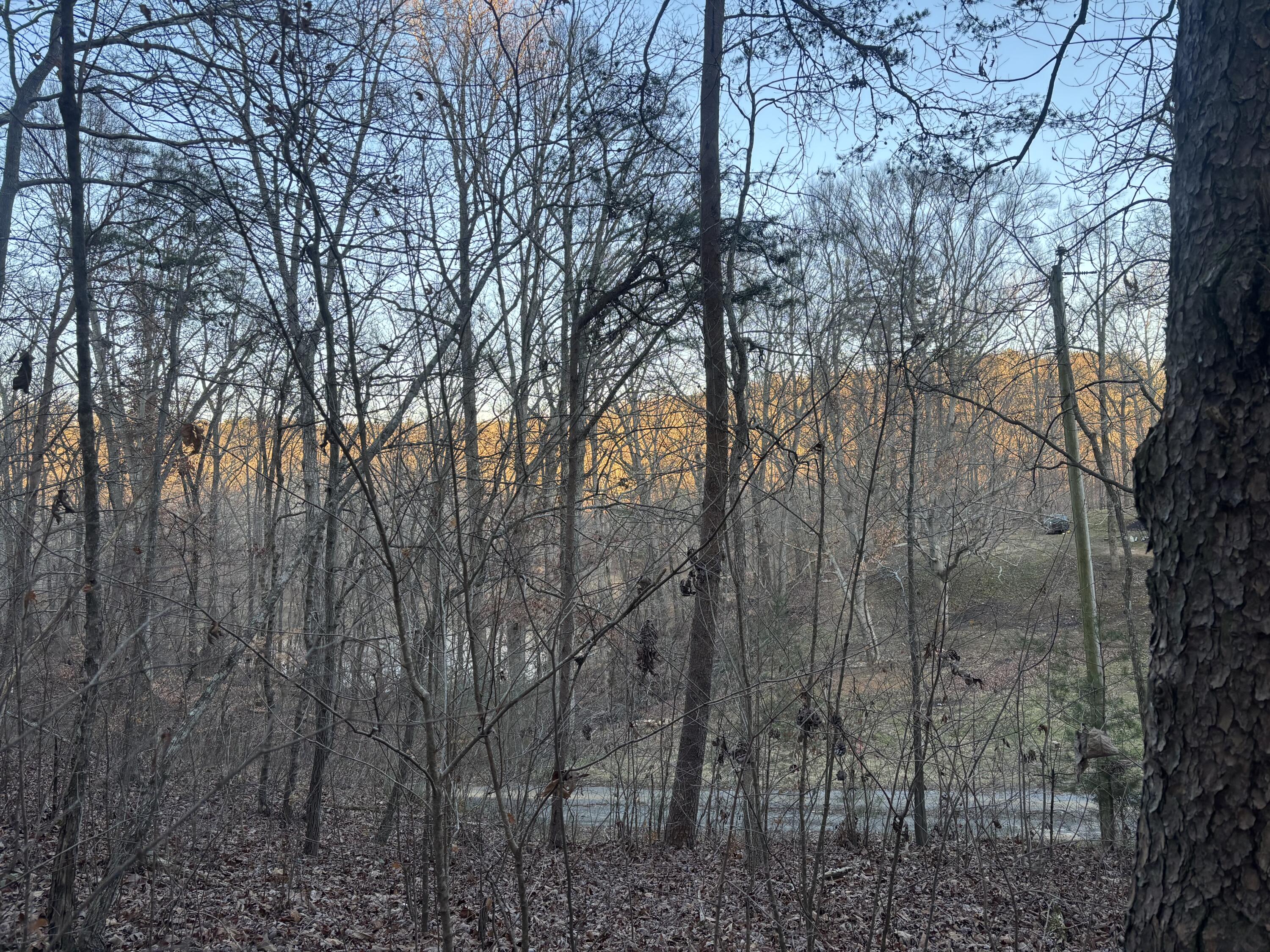 0 Twin Lakes Road LaFayette, GA 30728 - Photo 4 of 14 IMG_7707