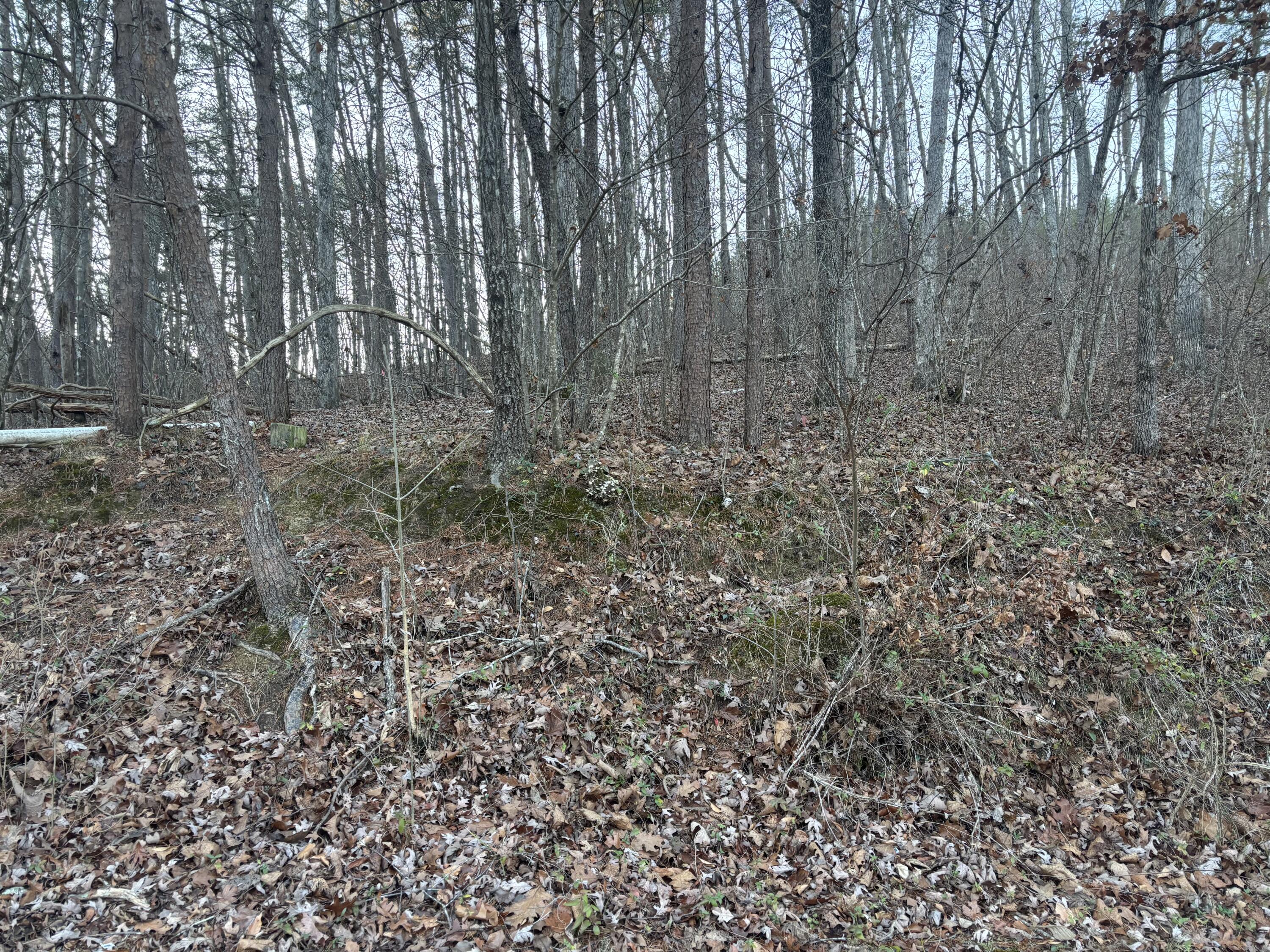 0 Twin Lakes Road LaFayette, GA 30728 - Photo 6 of 14 IMG_7700