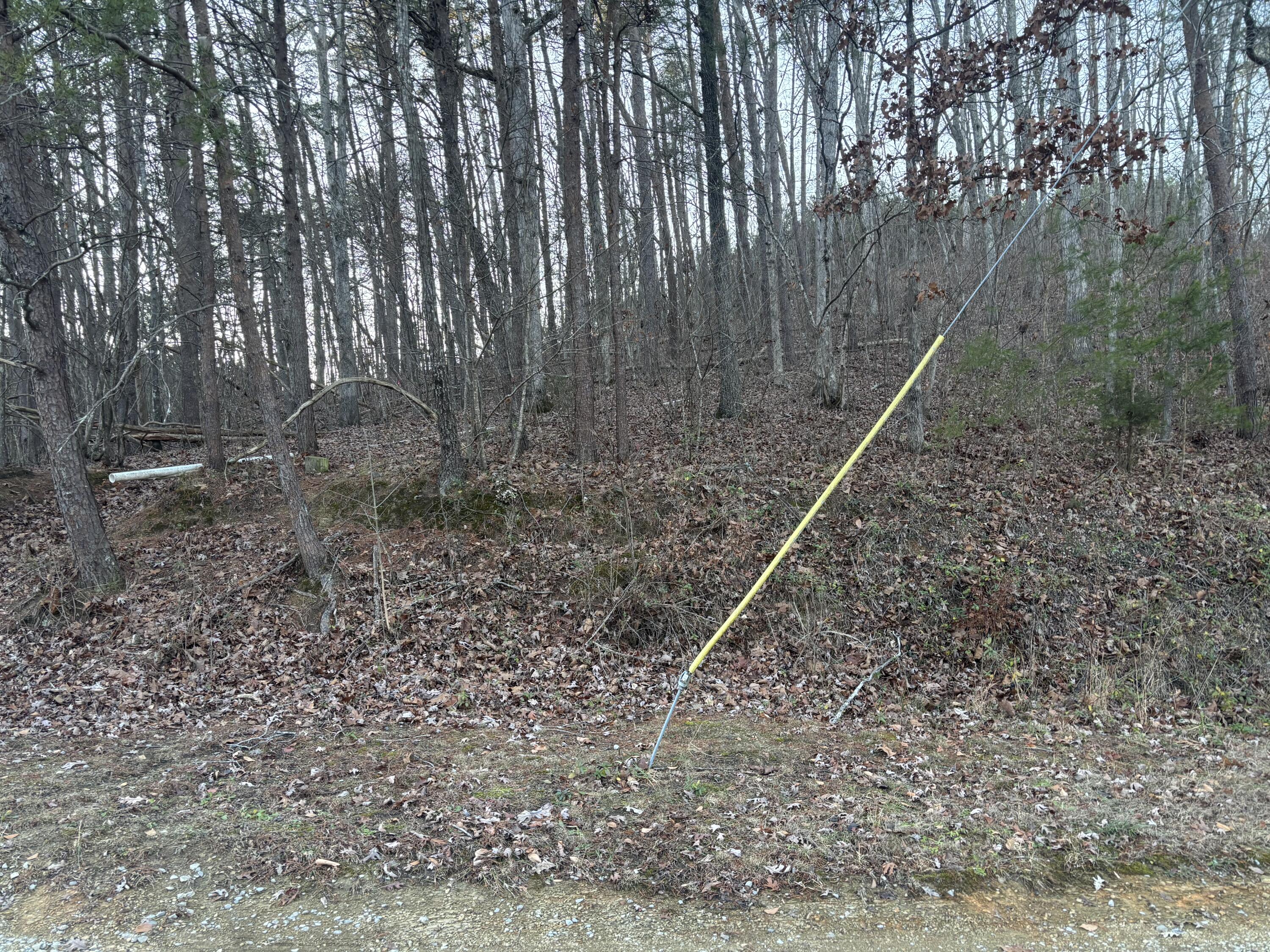 0 Twin Lakes Road LaFayette, GA 30728 - Photo 7 of 14 IMG_7701