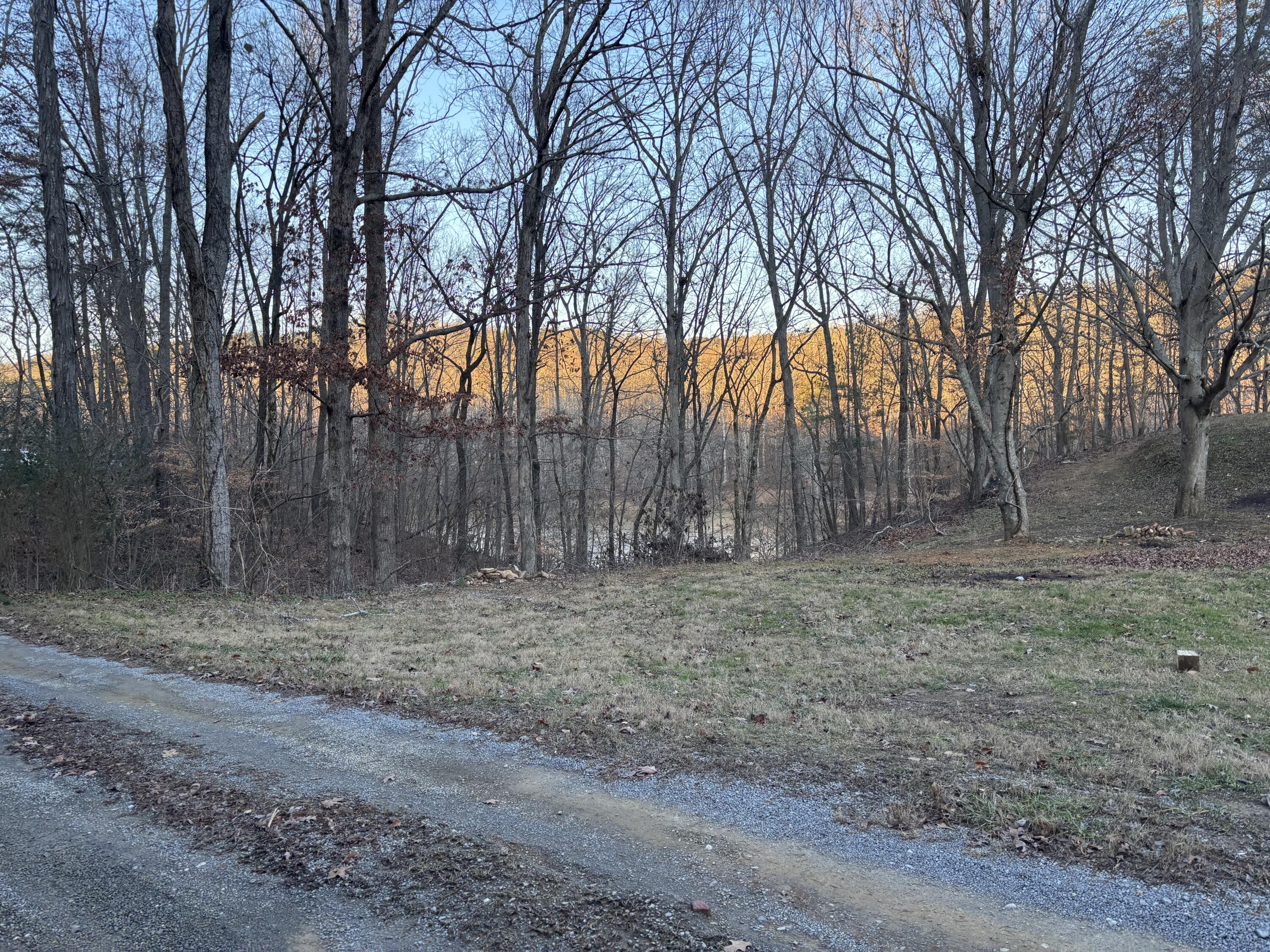 0 Twin Lakes Road LaFayette, GA 30728 - Photo 10 of 14 IMG_1105