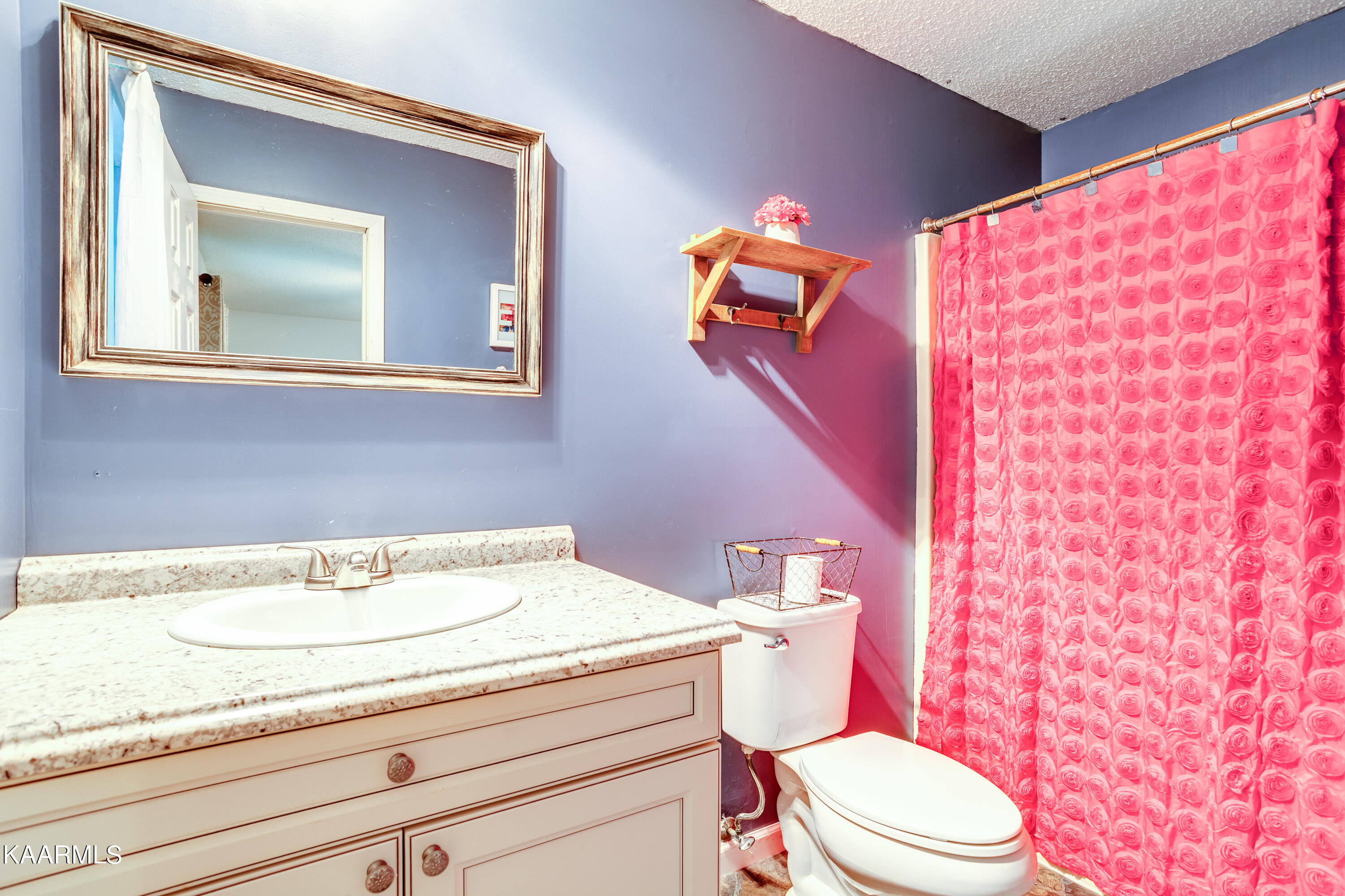 161 Tannery Road Walland, TN 37886 - Photo 27 of 45 27 Master Bath