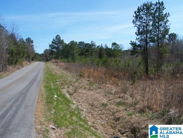 0 Mitchellville Road, Unit ACREAGE Lincoln, AL 35096 - Photo 7 of 19
