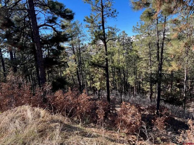 a view of a yard covered in snow