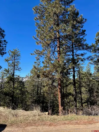 $39,900 | 238 Deer Ridge Drive, Bayfield, CO 81122