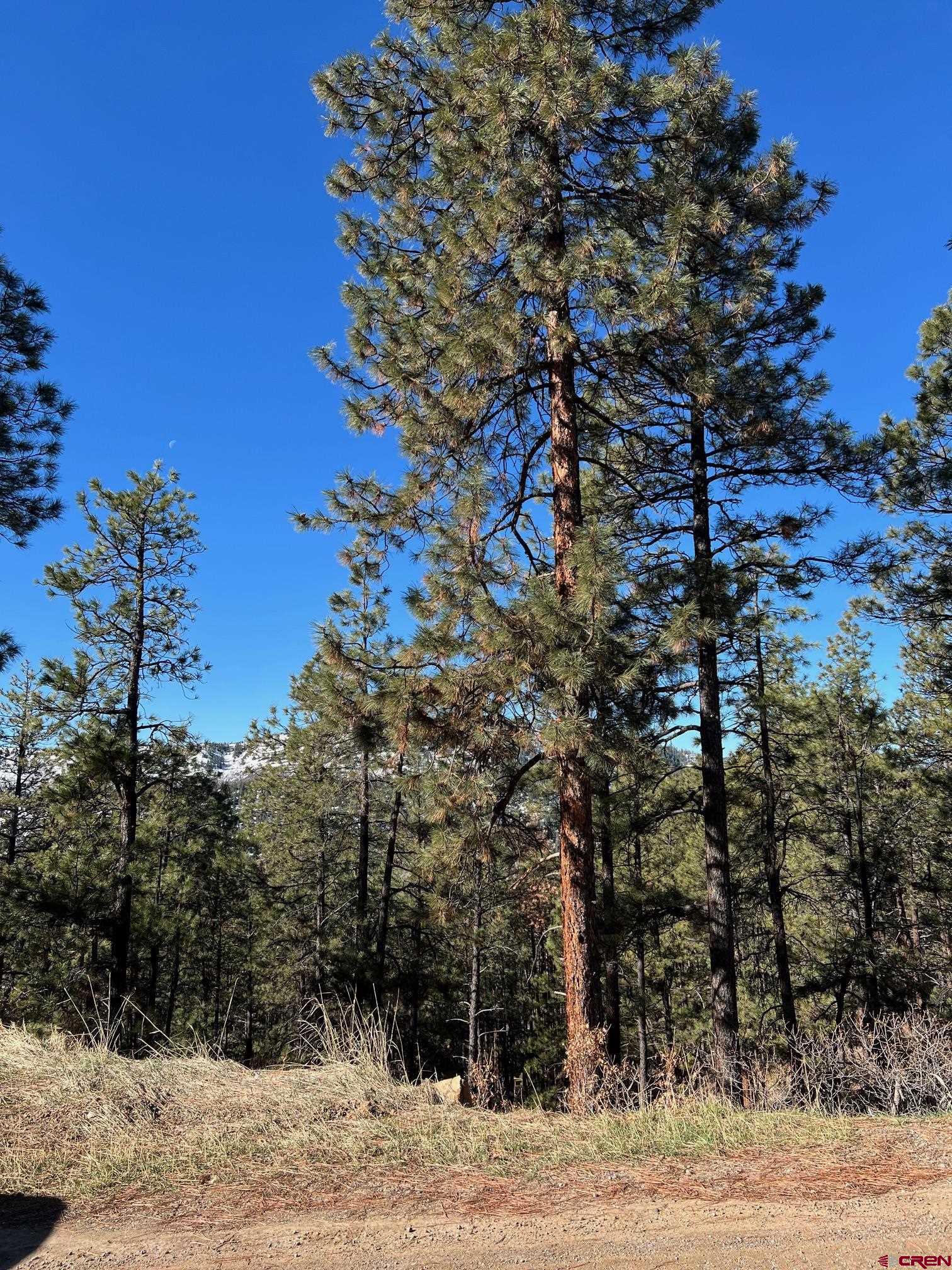 238 Deer Ridge Drive Bayfield, CO 81122 - Photo 15 of 16