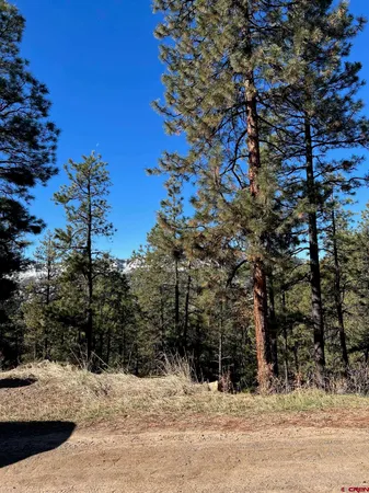 $39,900 | 238 Deer Ridge Drive, Bayfield, CO 81122