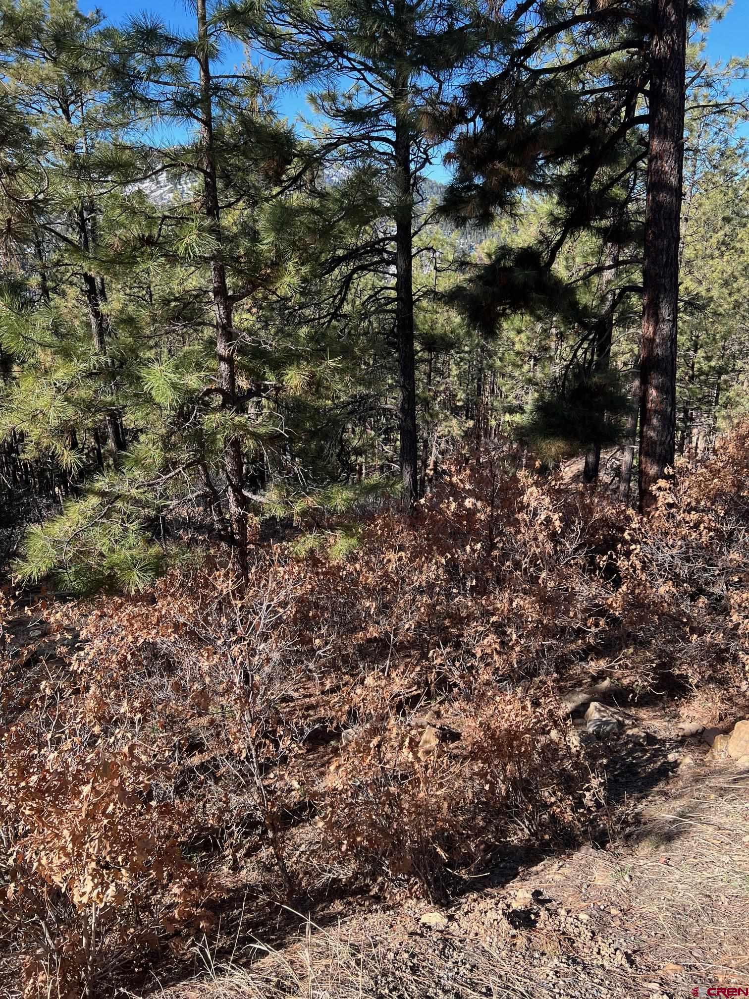 238 Deer Ridge Drive Bayfield, CO 81122 - Photo 4 of 16