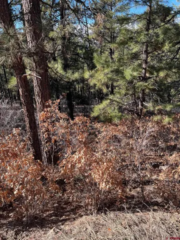 a view of outdoor space with trees