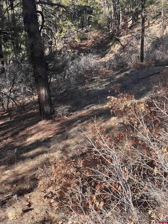 a view of a yard with mountain view
