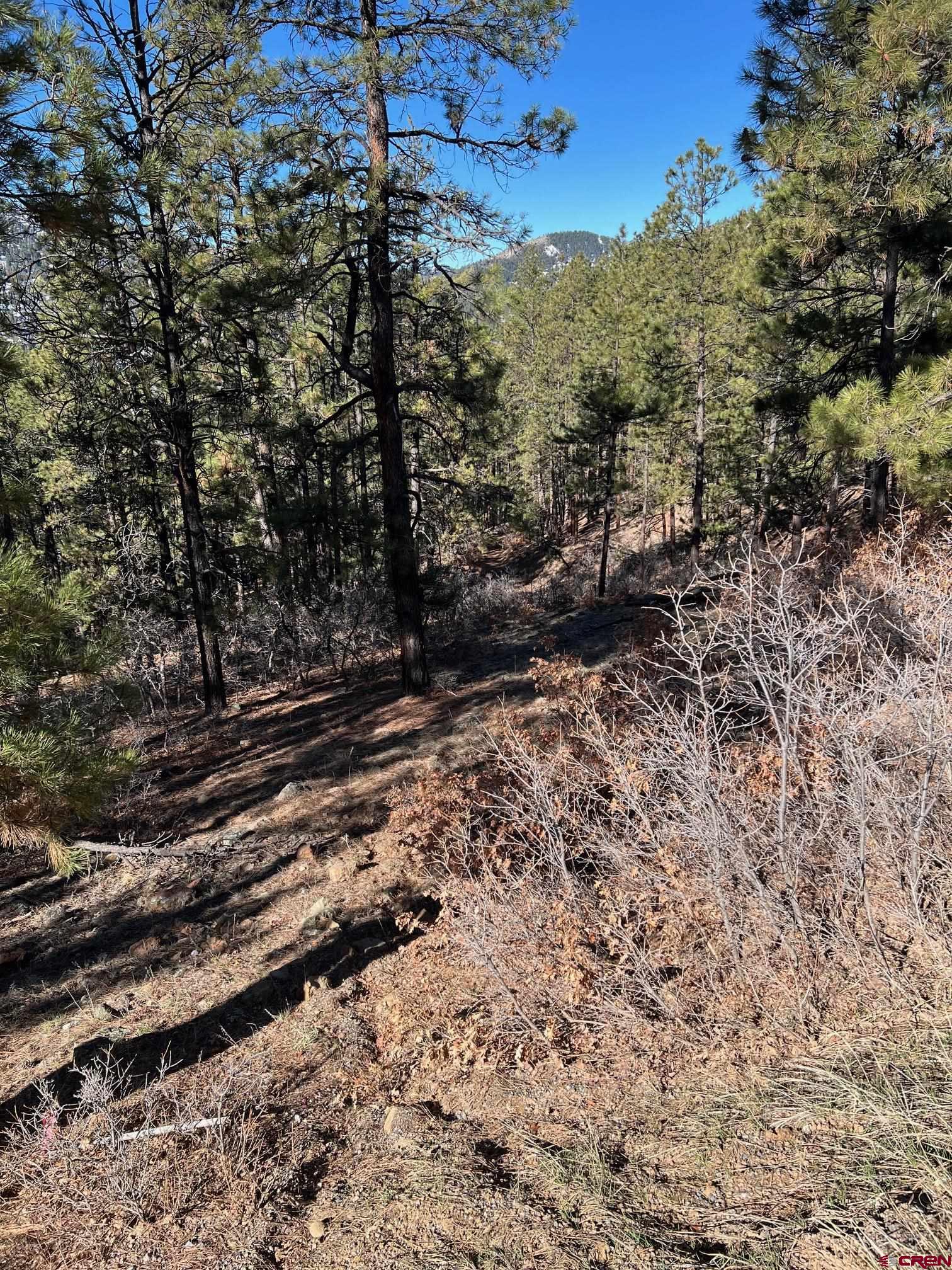 238 Deer Ridge Drive Bayfield, CO 81122 - Photo 7 of 16 a view of a yard with mountain view