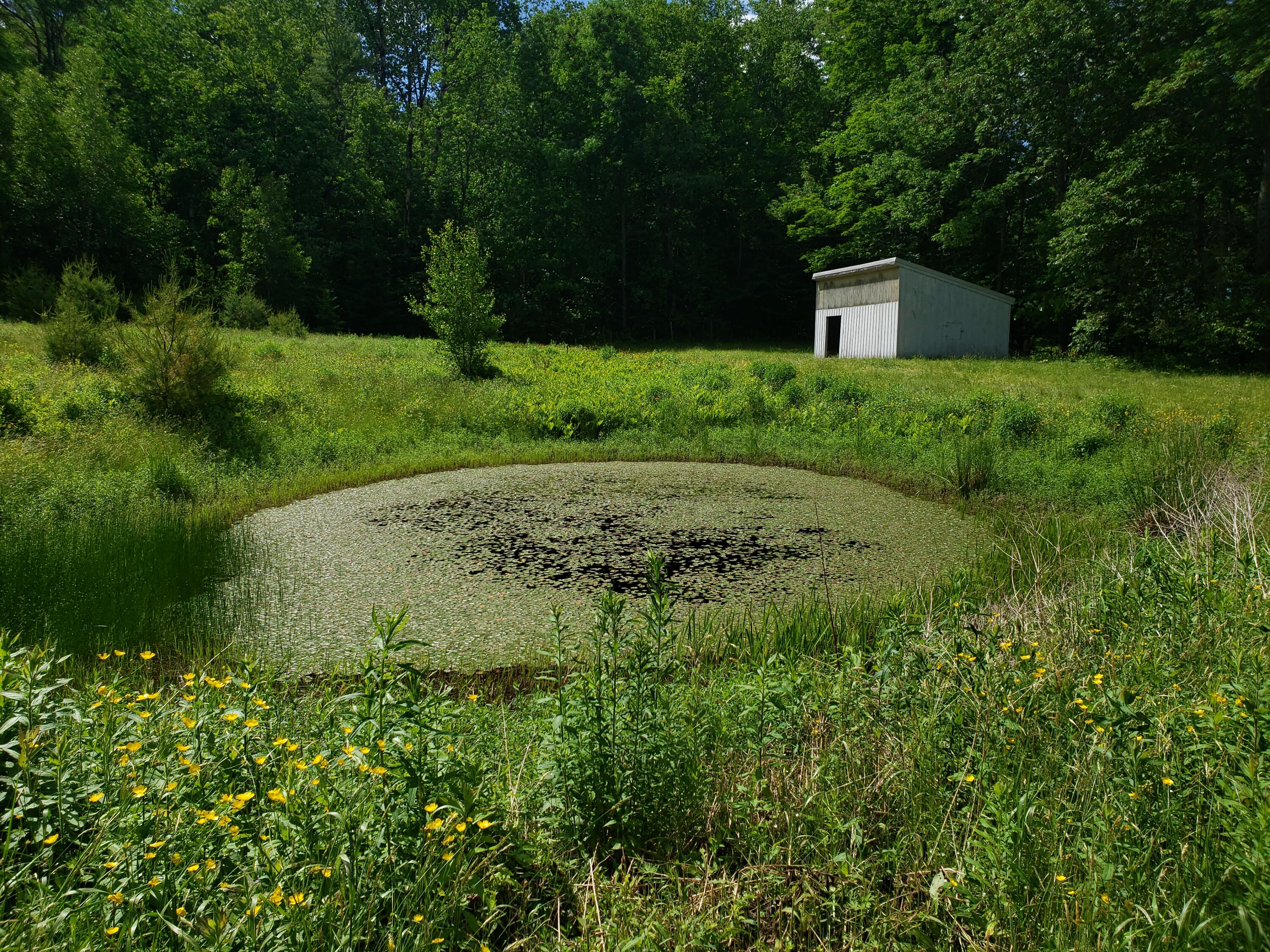 1567 Franklin Road Jay, ME 04239 - Photo 57 of 77 20220614_101830