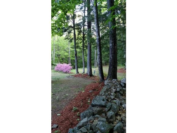 9 Sleepy Hollow Road Meredith, NH 03253 - Photo 28 of 36