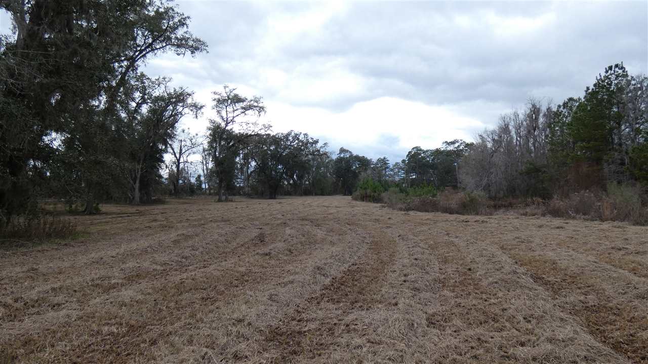 Tbd Oetinger Road Monticello, FL 32344 - Photo 1 of 6 Gallery Image 1