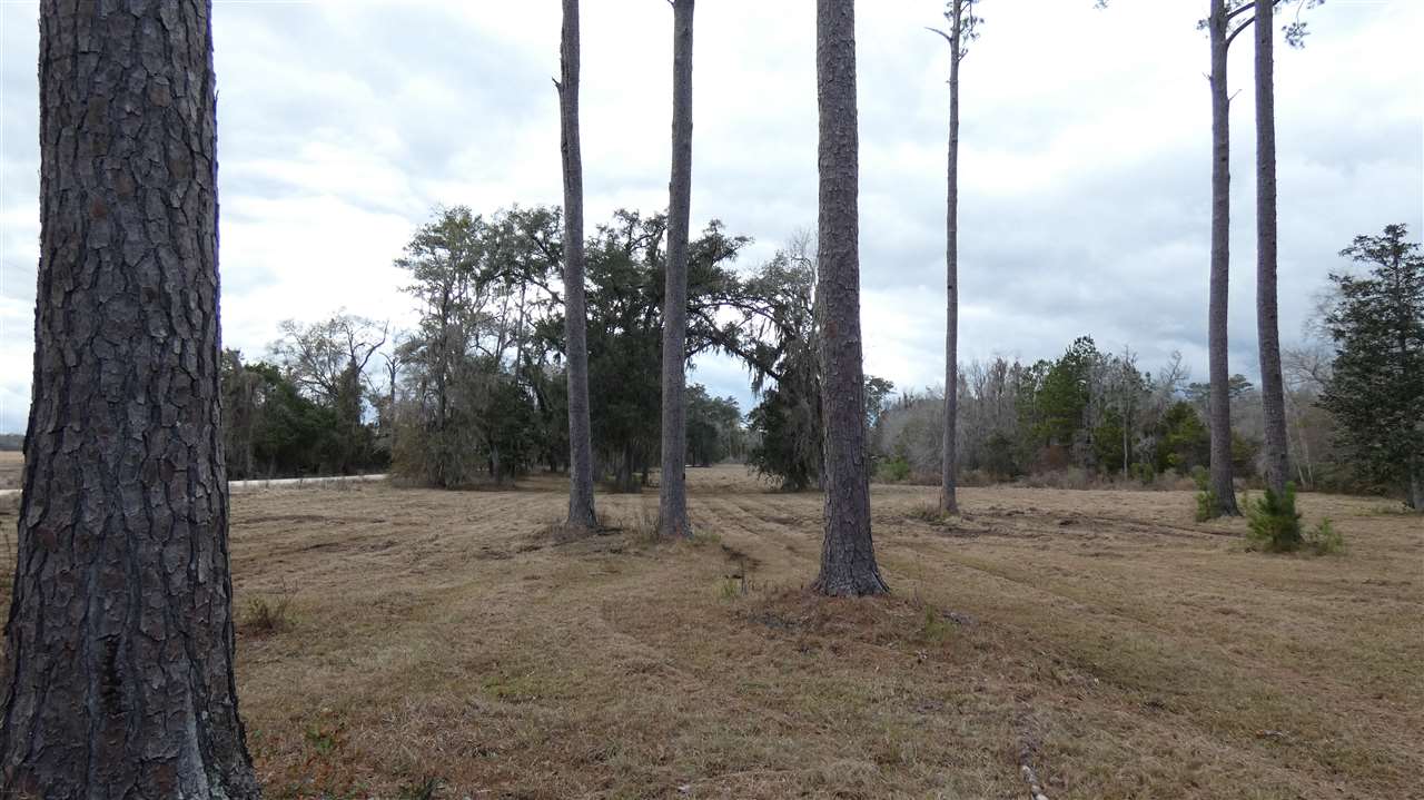 Tbd Oetinger Road Monticello, FL 32344 - Photo 3 of 6 Gallery Image 3