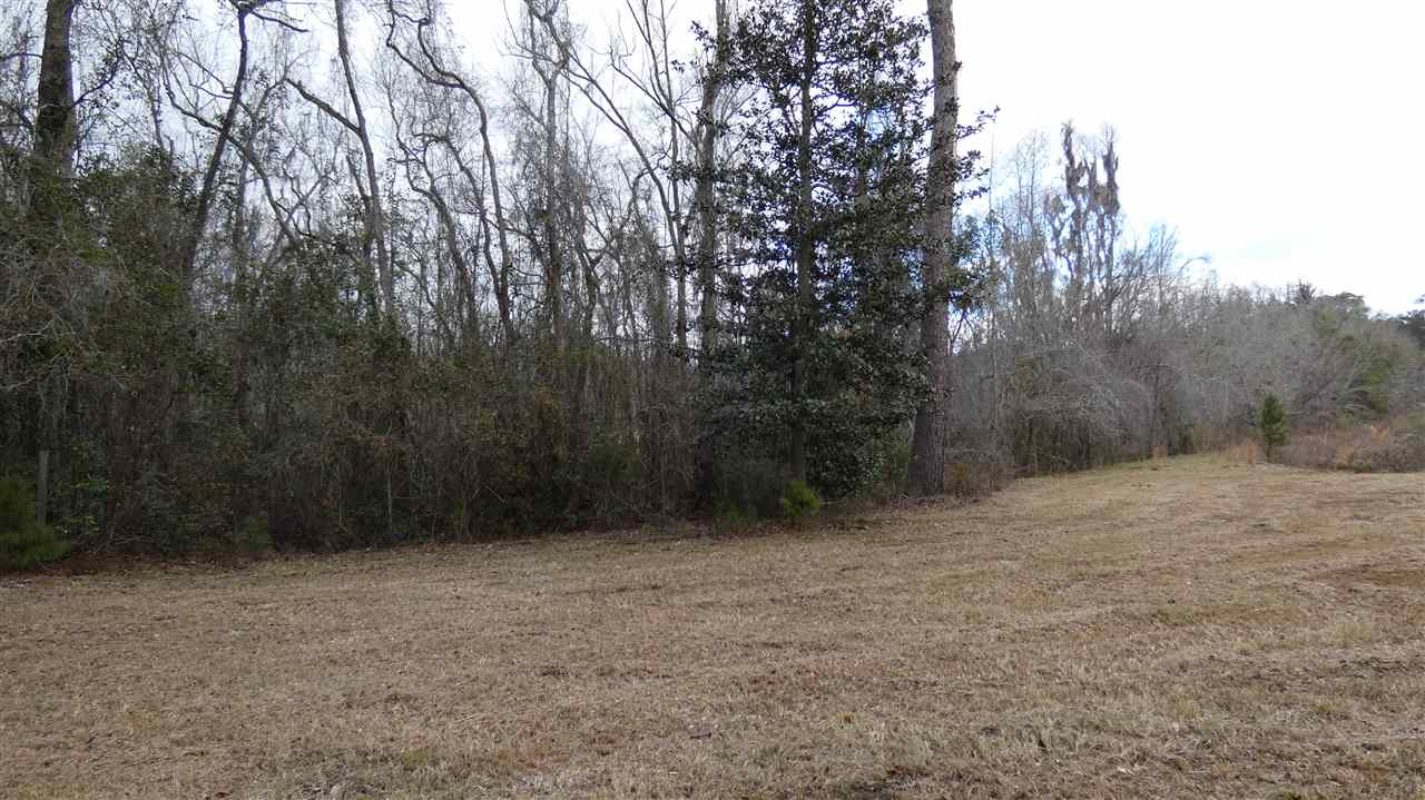 Tbd Oetinger Road Monticello, FL 32344 - Photo 4 of 6 Gallery Image 4