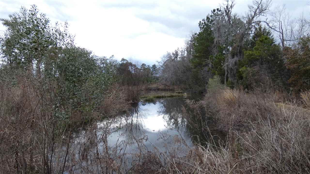 Tbd Oetinger Road Monticello, FL 32344 - Photo 5 of 6 Gallery Image 5