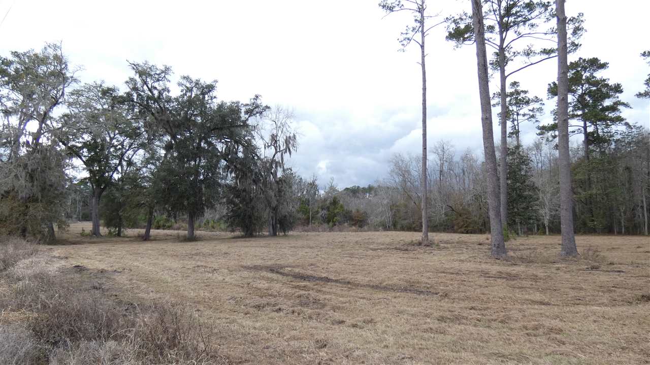 Tbd Oetinger Road Monticello, FL 32344 - Photo 6 of 6 Gallery Image 6