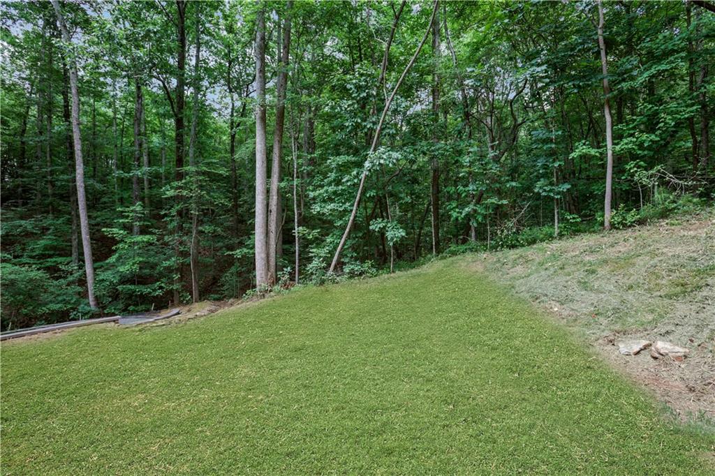 6524 Medlock Road Gainesville, GA 30506 - Photo 51 of 58