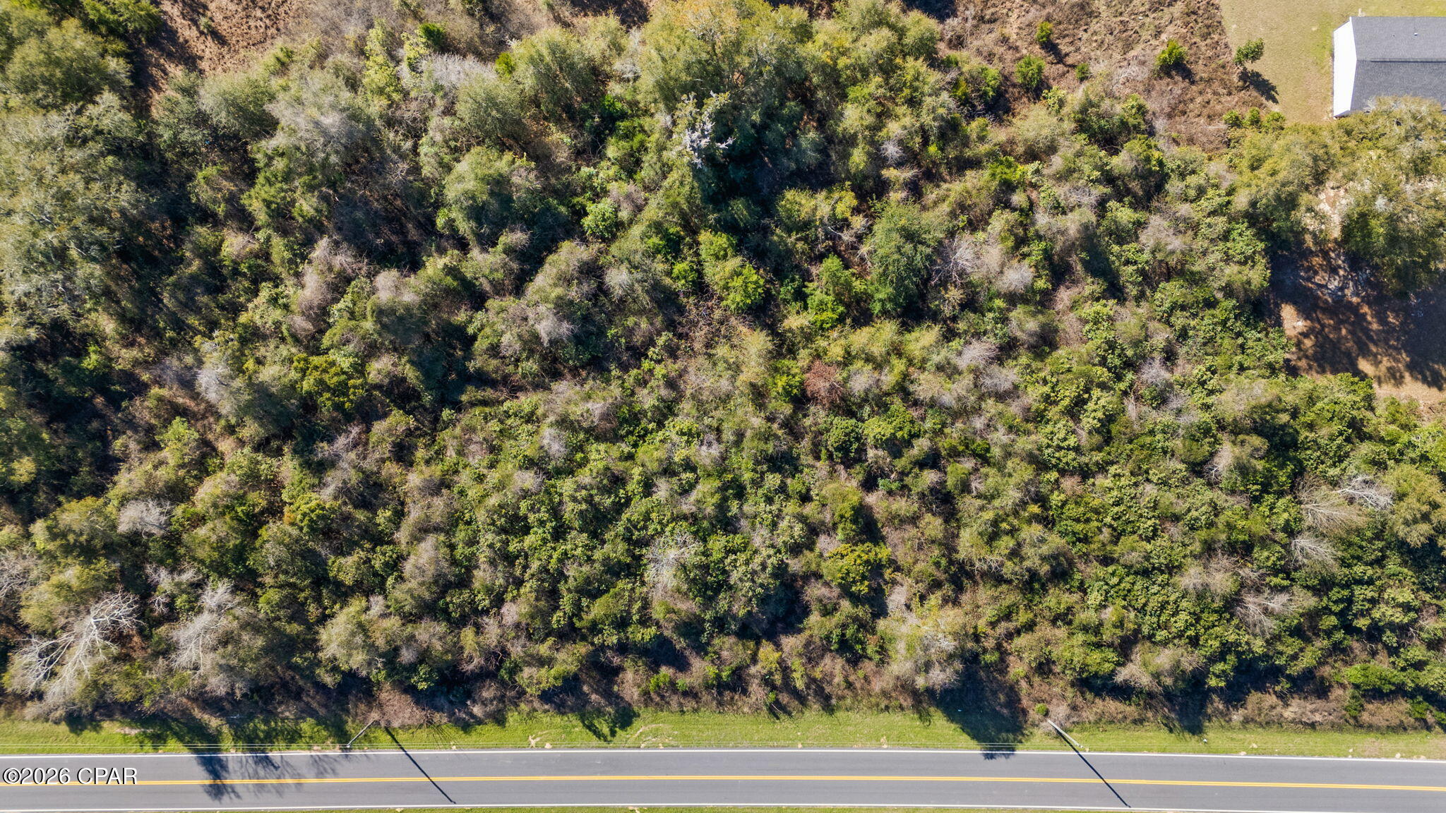 0 Willis Road Greenwood, FL 32443 - Photo 8 of 10