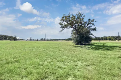 a view of a garden