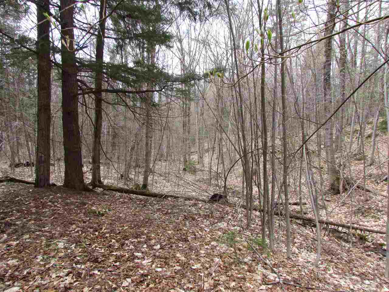 1 Jones Brook Road Moretown, VT 05660 - Photo 1 of 10