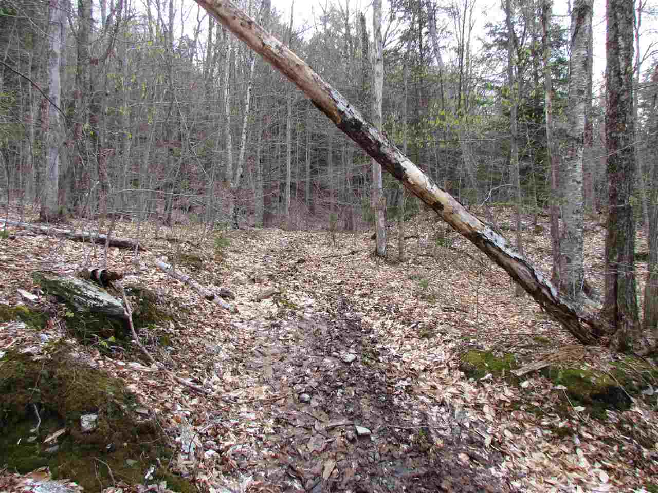 1 Jones Brook Road Moretown, VT 05660 - Photo 2 of 10