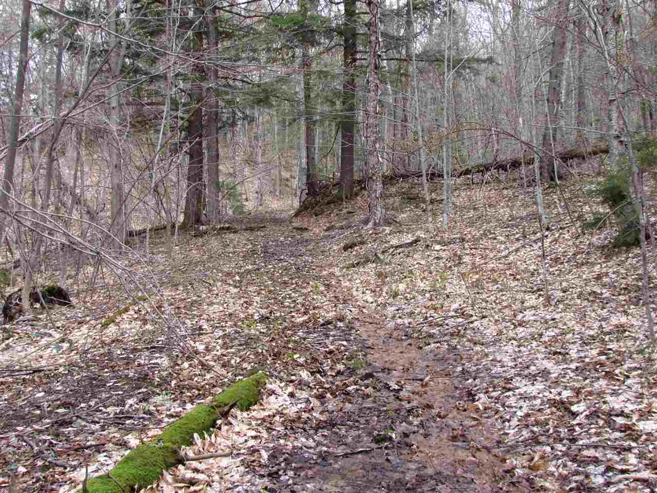 1 Jones Brook Road Moretown, VT 05660 - Photo 4 of 10