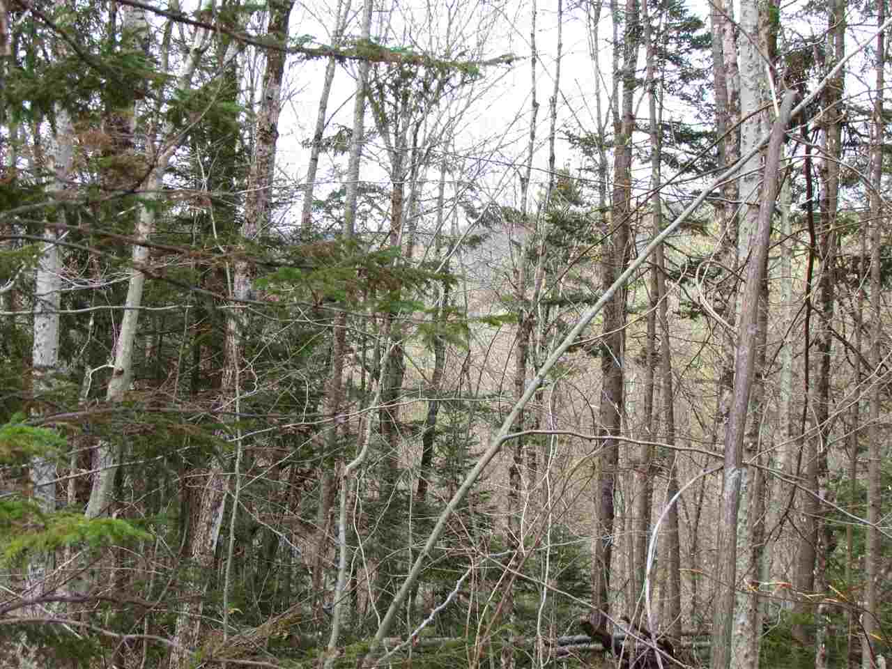 1 Jones Brook Road Moretown, VT 05660 - Photo 5 of 10