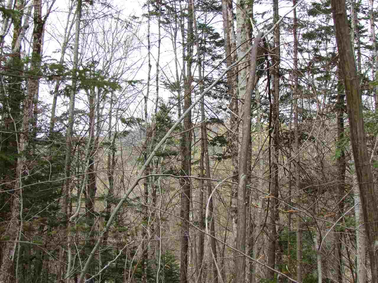 1 Jones Brook Road Moretown, VT 05660 - Photo 6 of 10