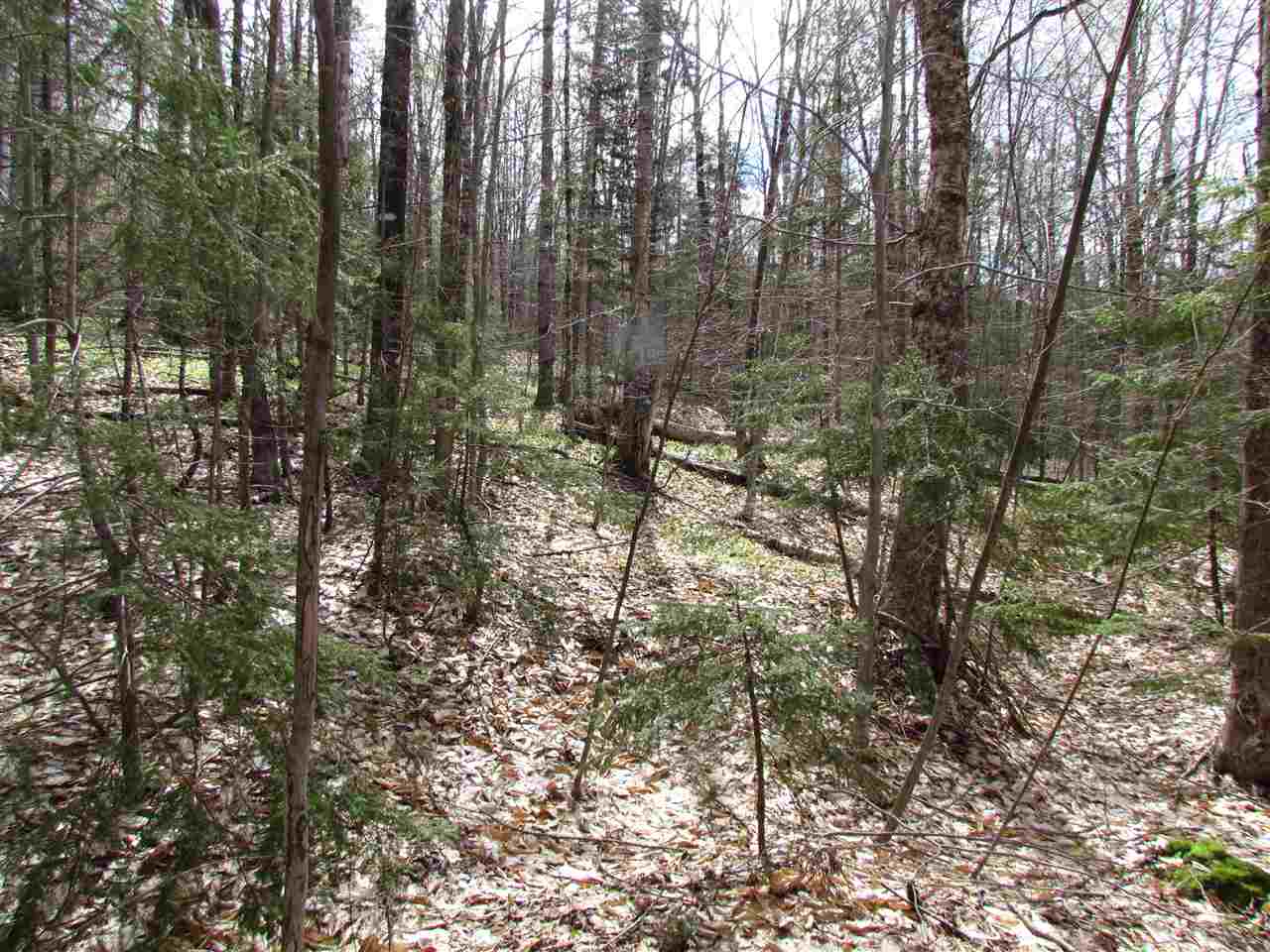 1 Jones Brook Road Moretown, VT 05660 - Photo 7 of 10