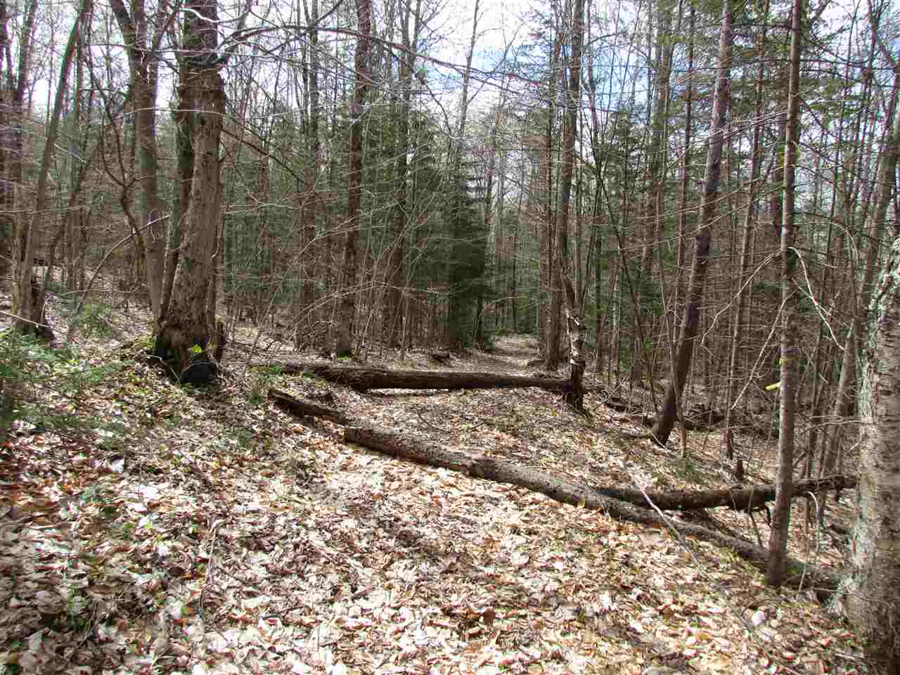 1 Jones Brook Road Moretown, VT 05660 - Photo 8 of 10