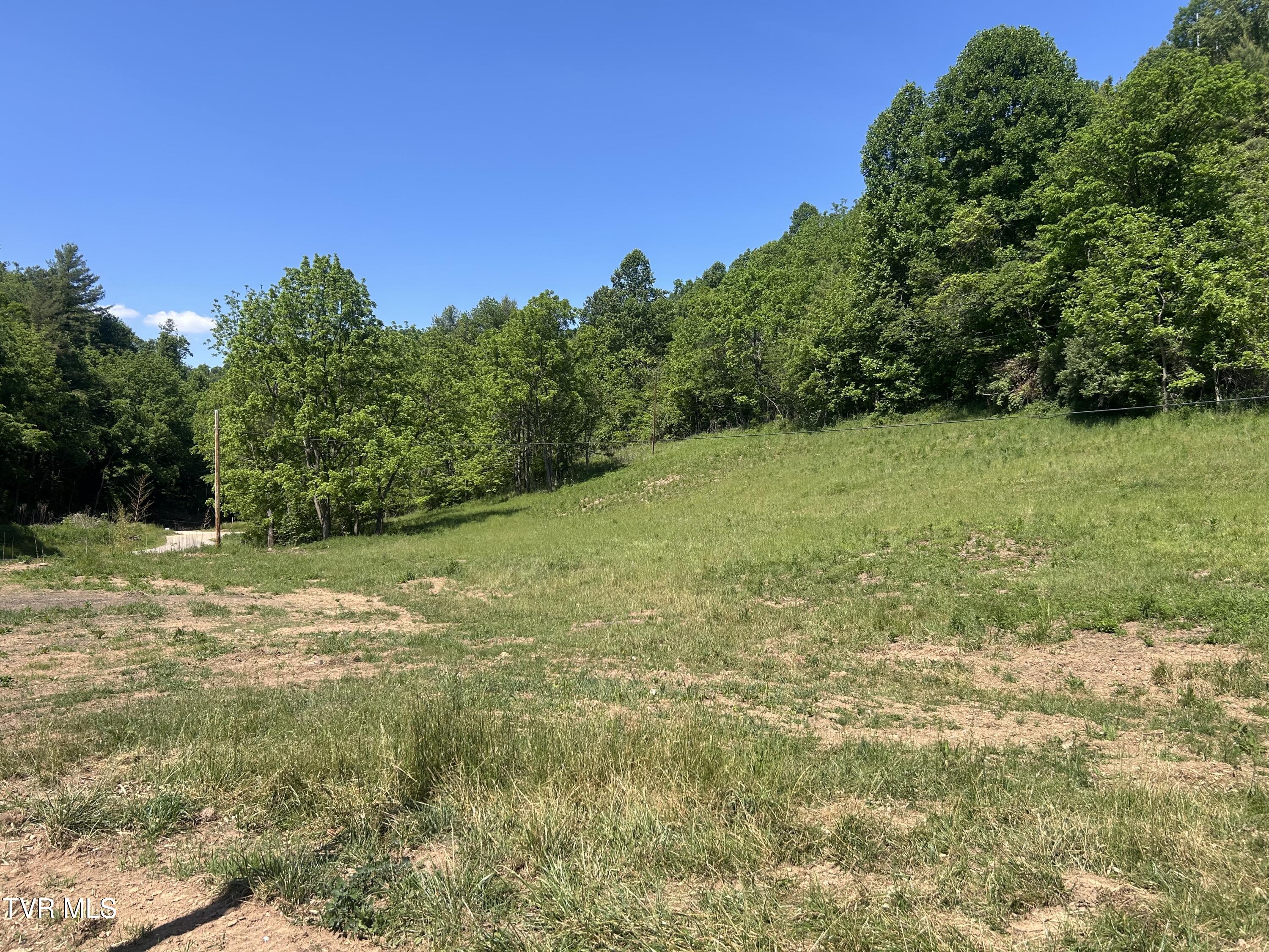 1684 Draft Road Butler, TN 37640 - Photo 2 of 9 IMG_2140
