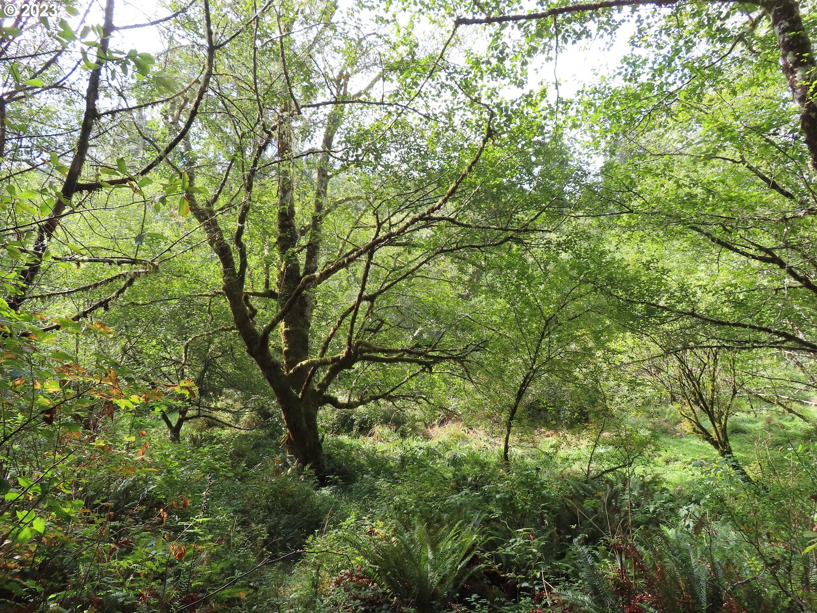 101 State Route, Unit 2 South Bend, WA 98586 - Photo 2 of 23