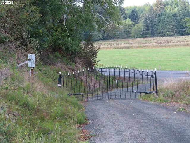 a view of a road with a yard and large trees