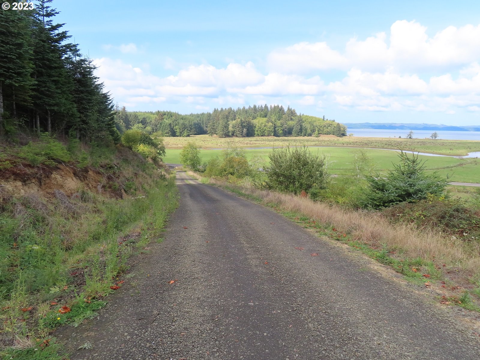 101 State Route, Unit 2 South Bend, WA 98586 - Photo 23 of 23 a view of a road with a yard and large trees