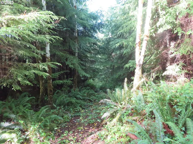 a backyard of a house