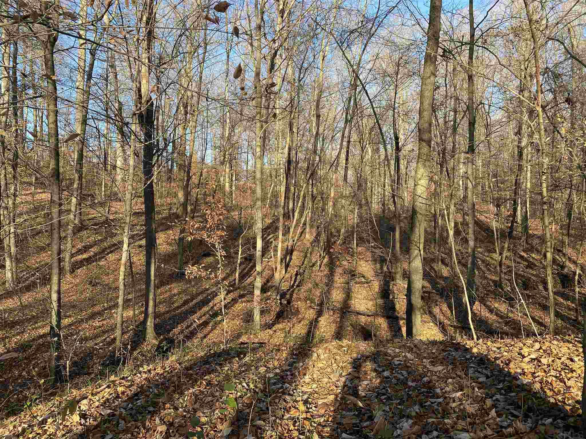 0 Stockton Road Coal City, IN 47427 - Photo 5 of 10